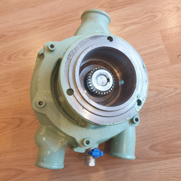 Shwing Stetter Style Water Pump